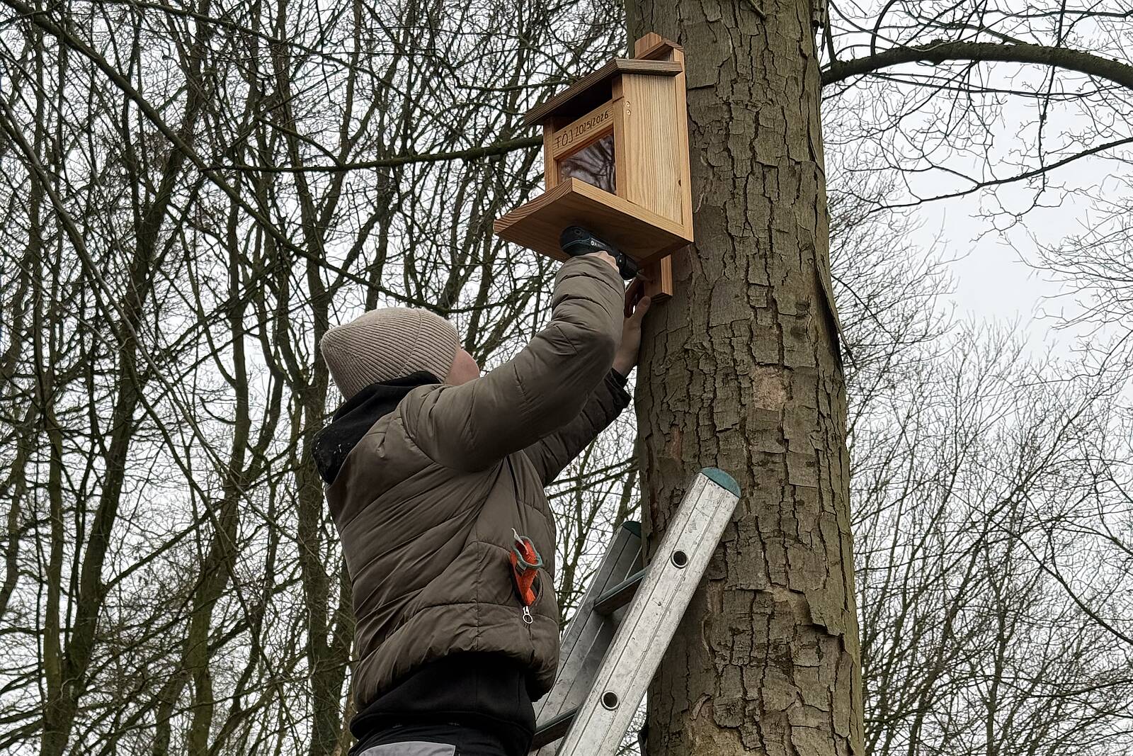 Öffnet die Seite 'Freiwilliges Ökologisches Jahr: Wie ein Jahr auf dem Kossehof der VHS Meppen junge Menschen prägt'