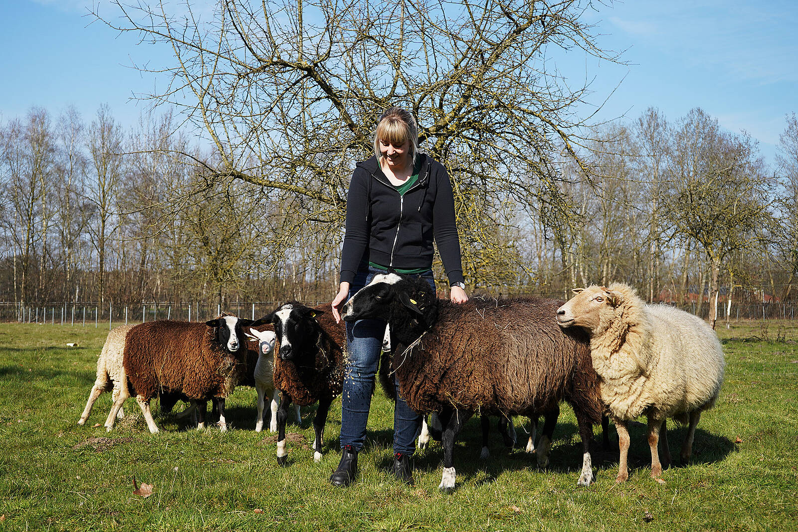 Öffnet die Seite 'Natur und Landwirtschaft hautnah erleben: Jahreskurs für Kinder ab 6 Jahren auf dem Kossehof der VHS Meppen'