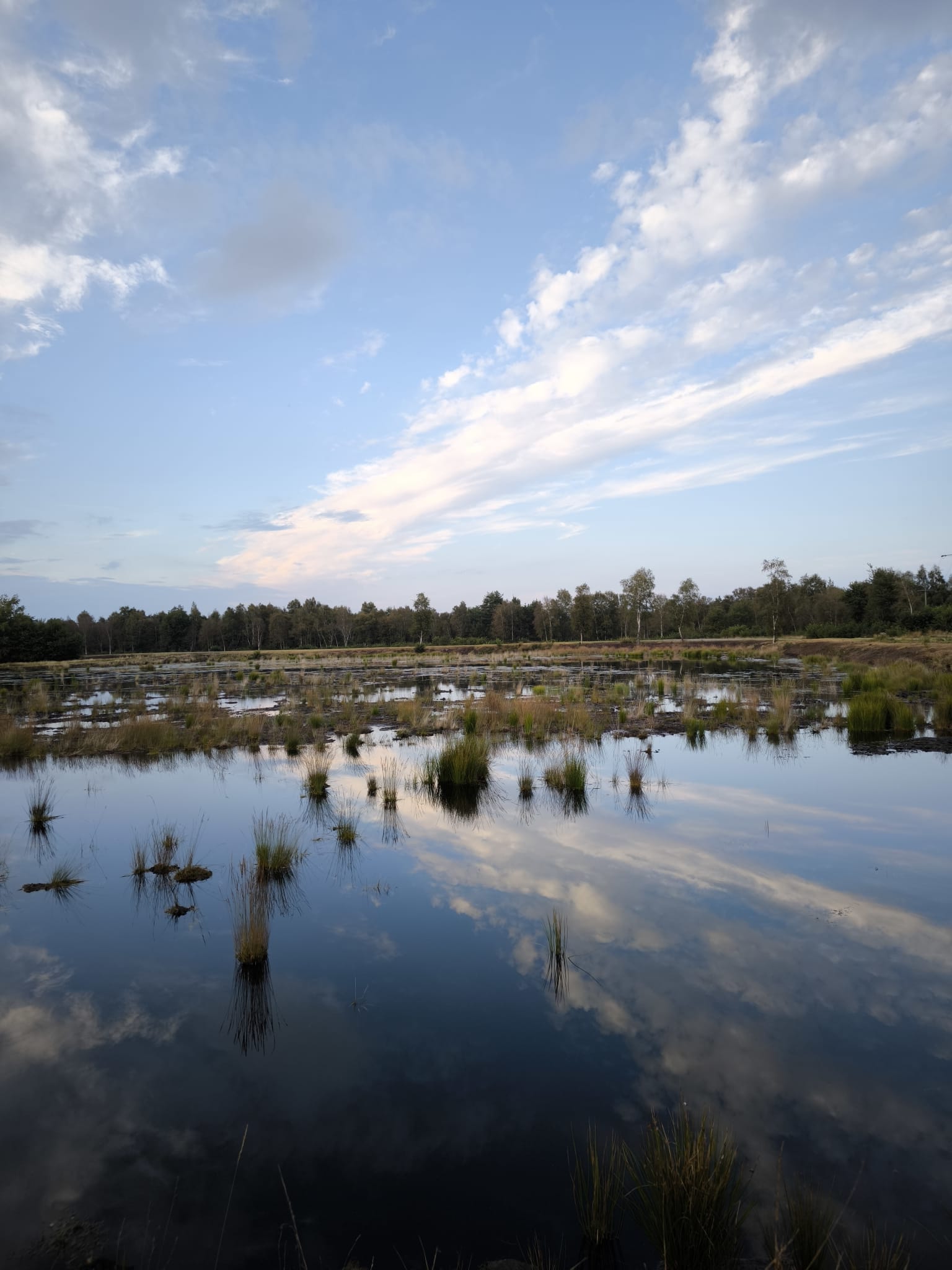 Öffnet die Seite '„Good Mood Event 3.0 – Good Moor, Good Climate, Good Life“'